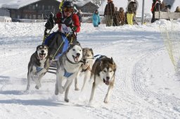 Lenk 2012 SM